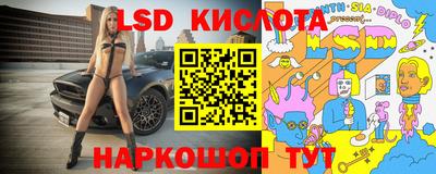 гидра Краснознаменск