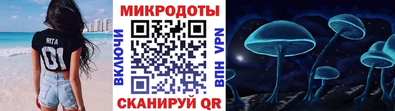 Галлюциногенные грибы Psilocybe Качканар