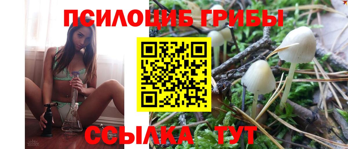 Качканар  Псилоцибиновые грибы мухоморы  Вход с VPN 